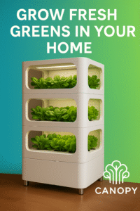 Indoor Hydroponic Garden in Modern Space